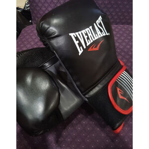 Everlast Core Training Boxing Gloves 14oz